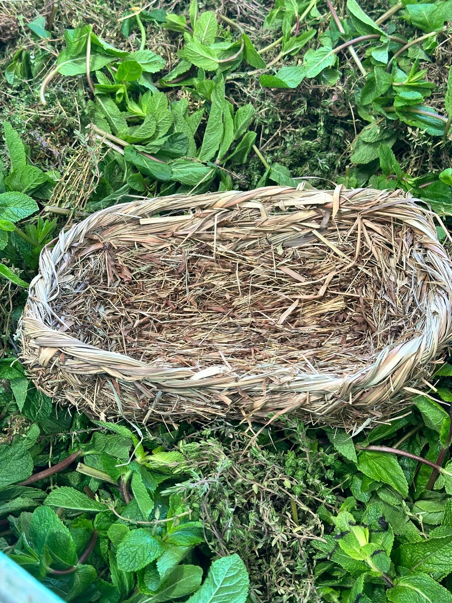 Vorschaubild 2
