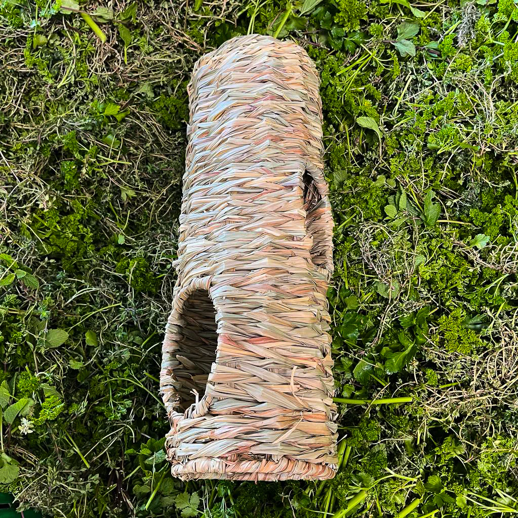 Grastunnel lang, 4 Eingänge - Image 2