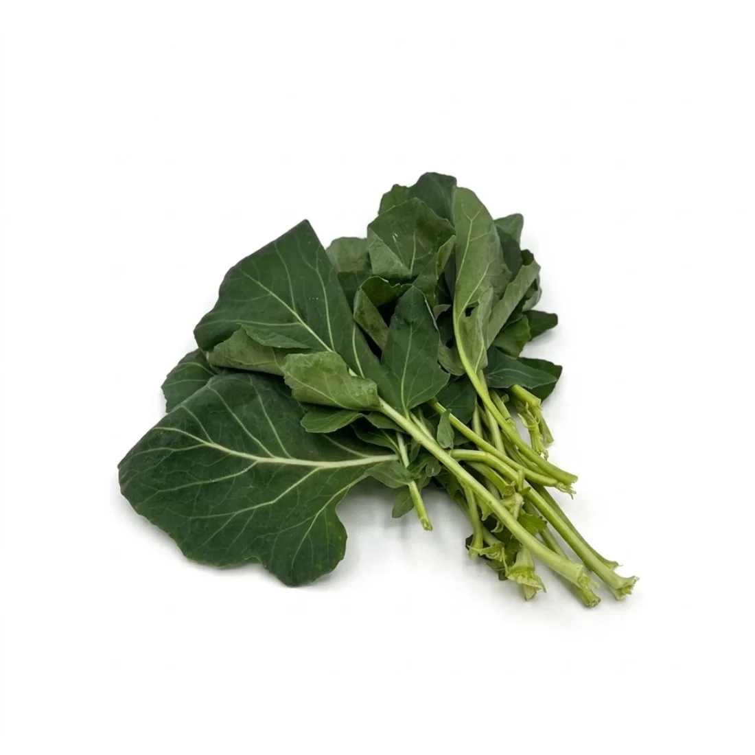 Kohlrabiblätter - Image 3