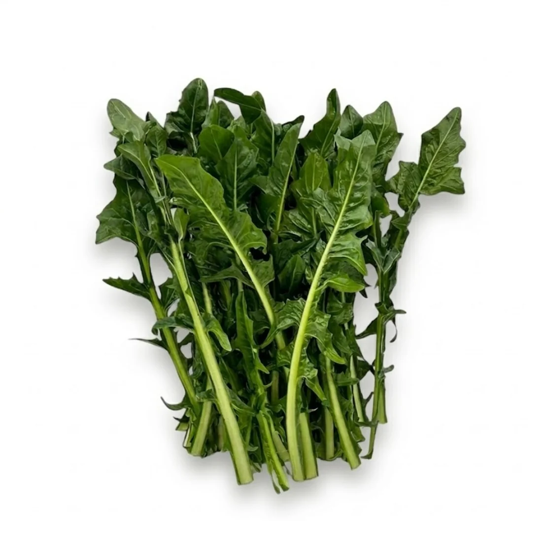Spitzen vom Löwenzahnsalat (Catalogna ohne Strunk), 500gr