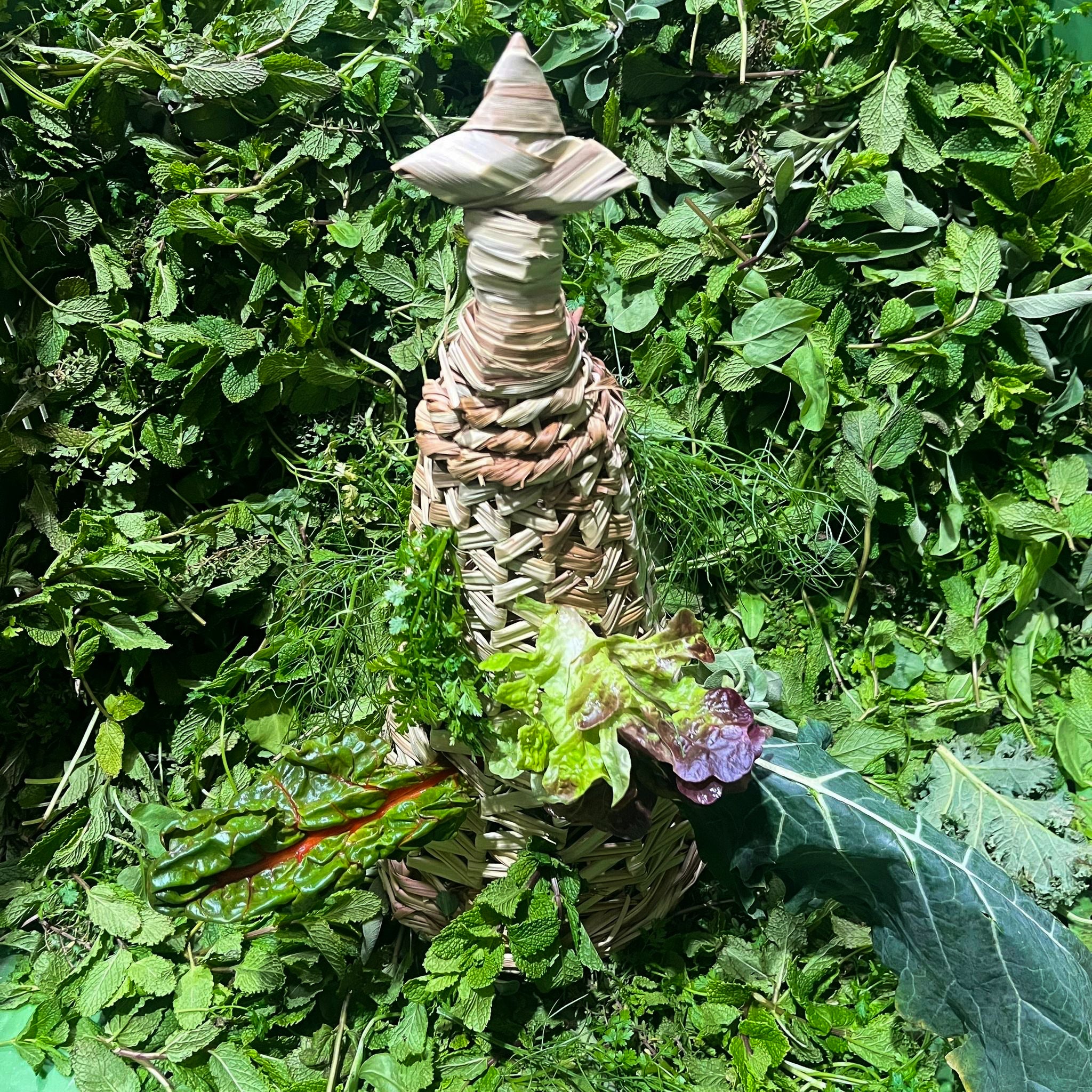 Vorschaubild 2